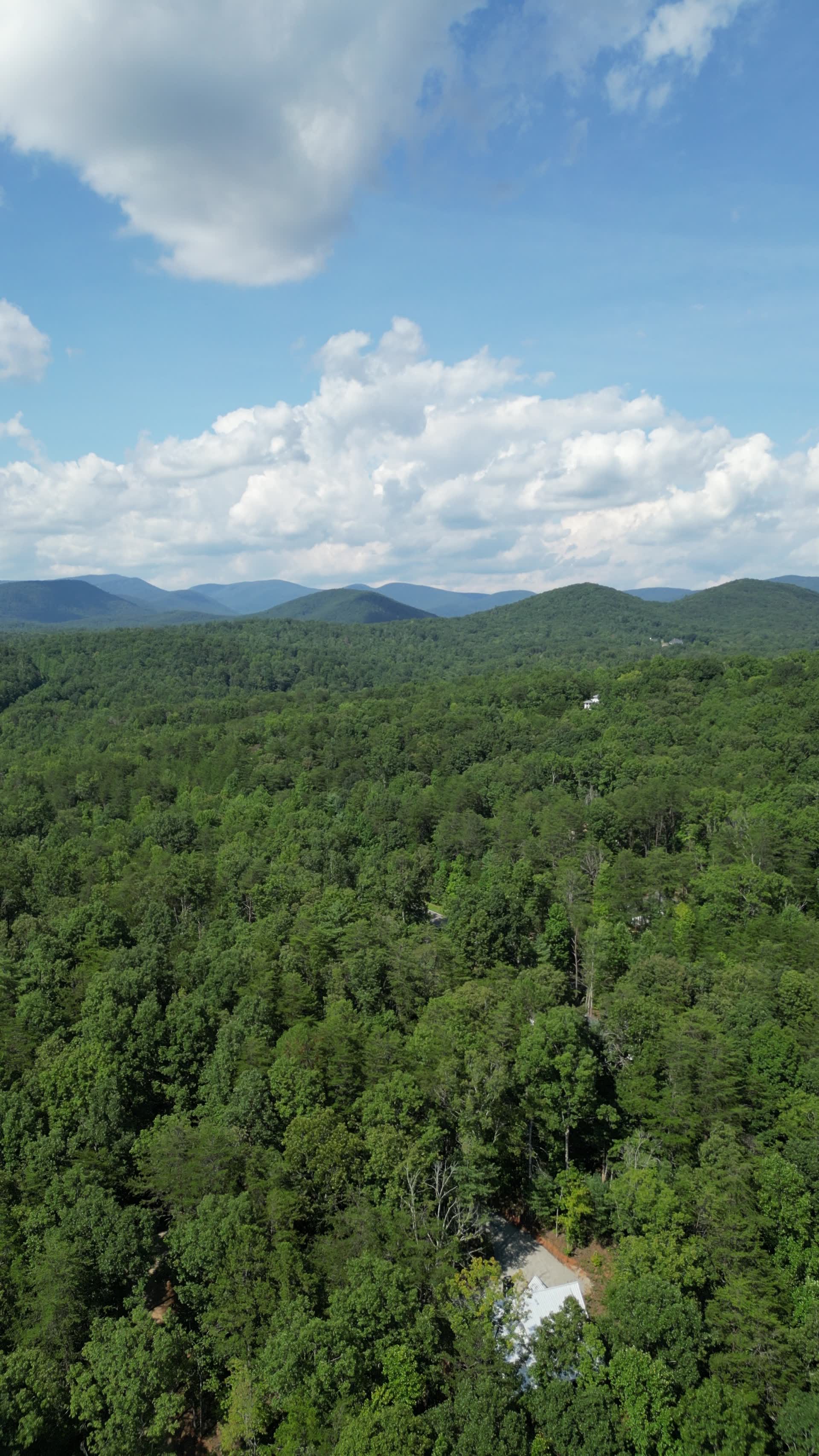 North Georgia mountains