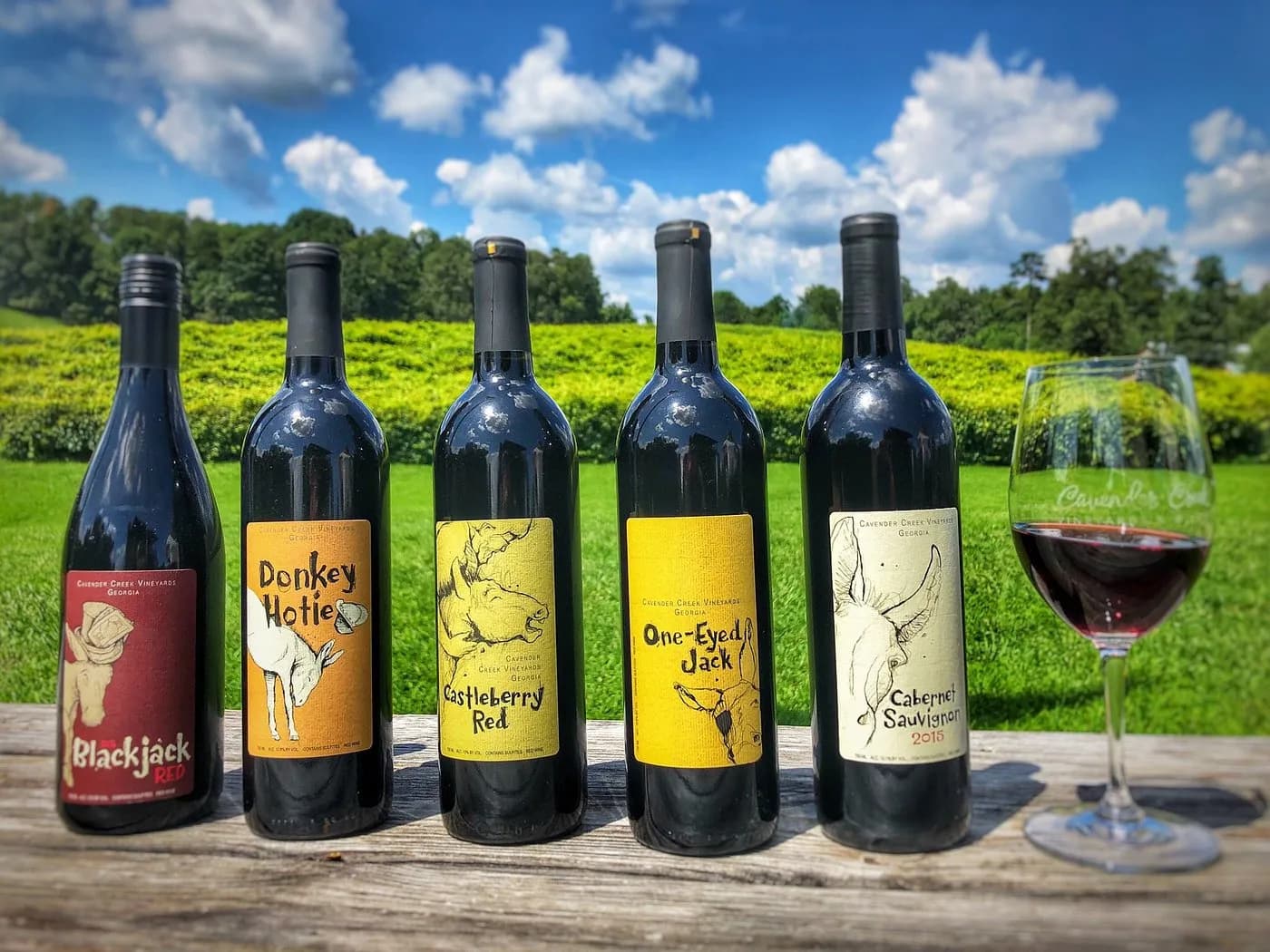 Cavender Creek Vineyards — winery near Dahlonega Georgia