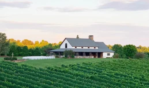CeNita Vineyards & Winery — winery near Dahlonega Georgia