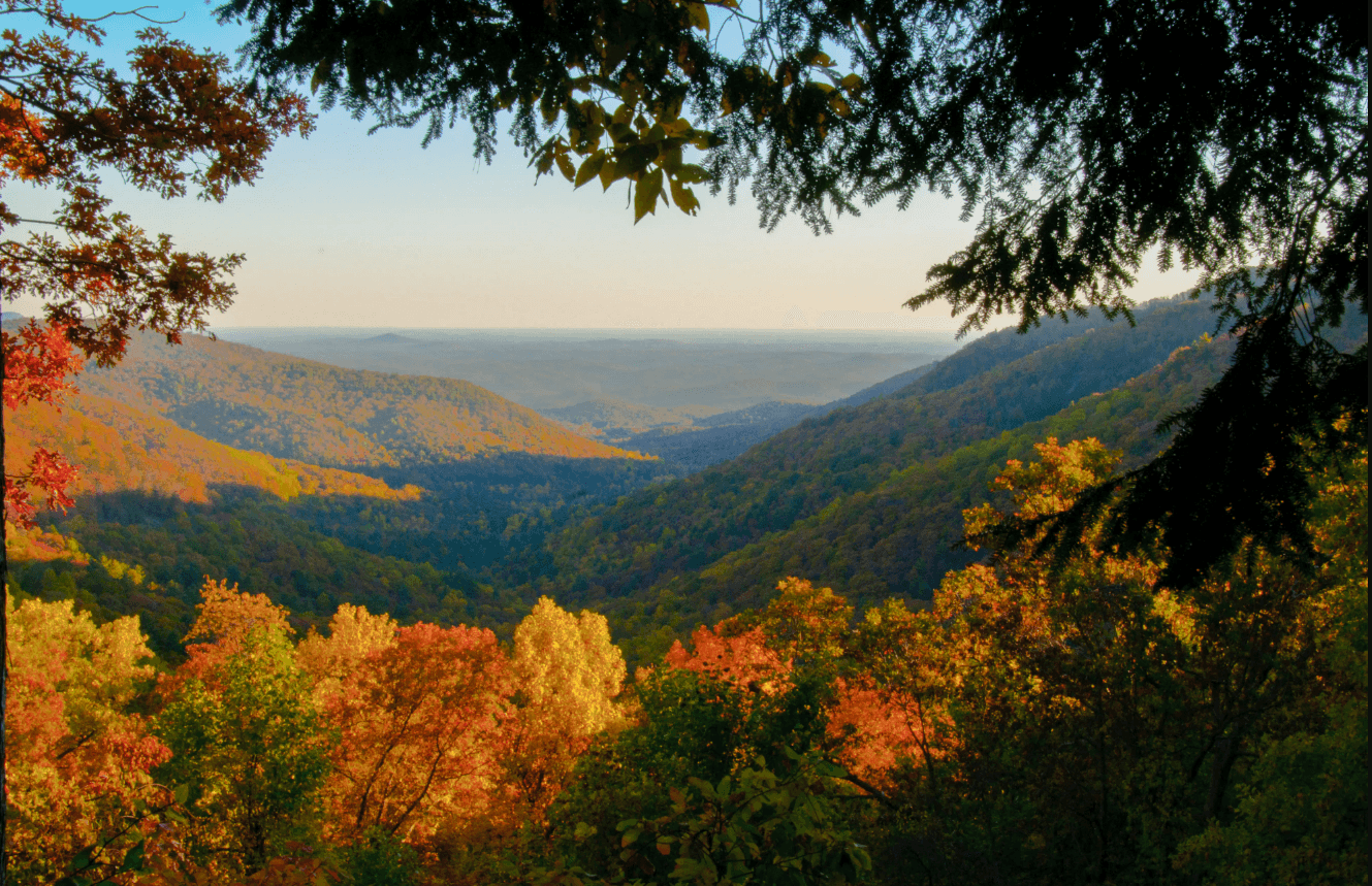 Fall foliage in Dahlonega North Georgia mountains